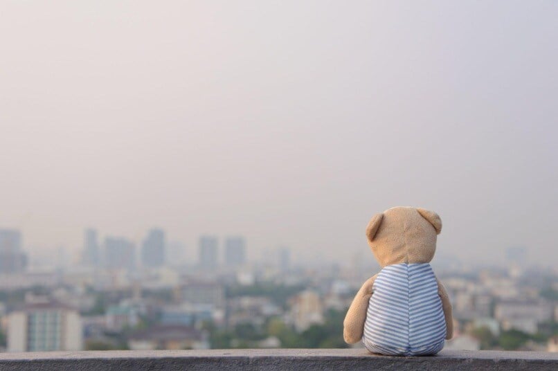 lonely bear pic 4